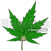 Royalty-Free Clip Art Illustration of a Pot Leaf © djart #1055097