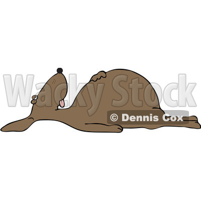 Clipart Dead Brown Dog On Its Back - Royalty Free Vector Illustration ...